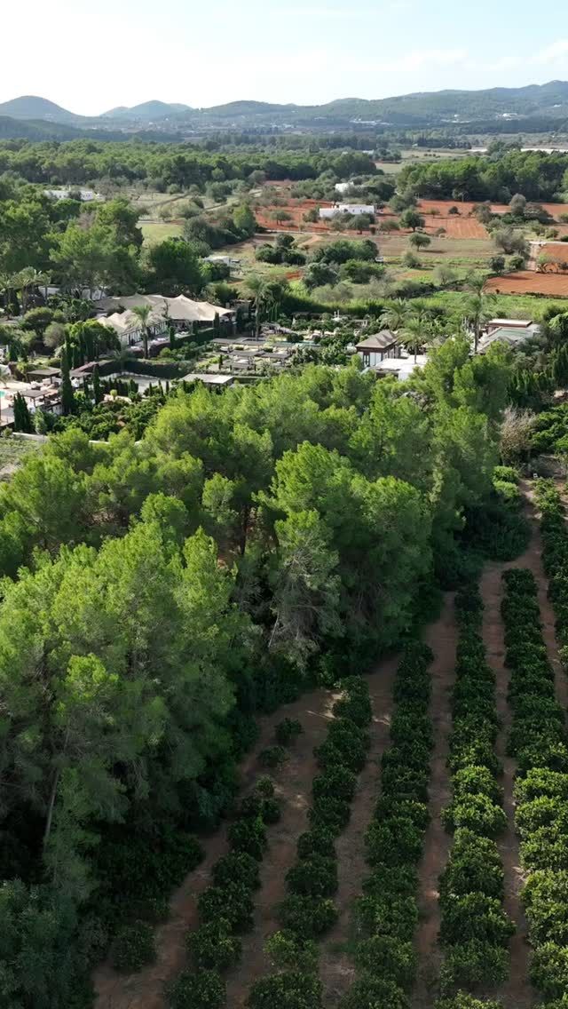 Deep in the heart of Ibiza's rural north sits the Atzaró Agroturismo Hotel estate, affectionately known as the heart of the island

Nestled in the serene countryside, Atzaró Agroturismo Hotel is a unique rural-lux estate that blends nature, heritage, and tranquility beautifully. Rooted in centuries-old agricultural traditions, it offers a nourishing and peaceful escape where the lush gardens, orange groves, and rustic architecture reflect its deep connection with the land. Thoughtfully designed to honour its authentic origins, Atzaró radiates a refined, nature-connected elegance that captures the true heart of the island, inviting guests to experience Ibiza at its most genuine and soul-restoring best

Reservations
• +34 971 33 88 38
• bedrooms - agroturismo@atzaro.com
• restaurant - restaurant@atzaro.com
• spa - spa@atzaro.com
• atzaro.com
• explore link in bio

#atzarohotel #atzaroibiza #atzaro #atzarogroup

#heartofibiza #naturalluxury #authenticibiza #ibizafinca #ibizahotel #ibizaresort #ibizaspa #ibizaluxuryhotel #sustainablehotel #ibizabucketlist #ibiza #ibiza2025