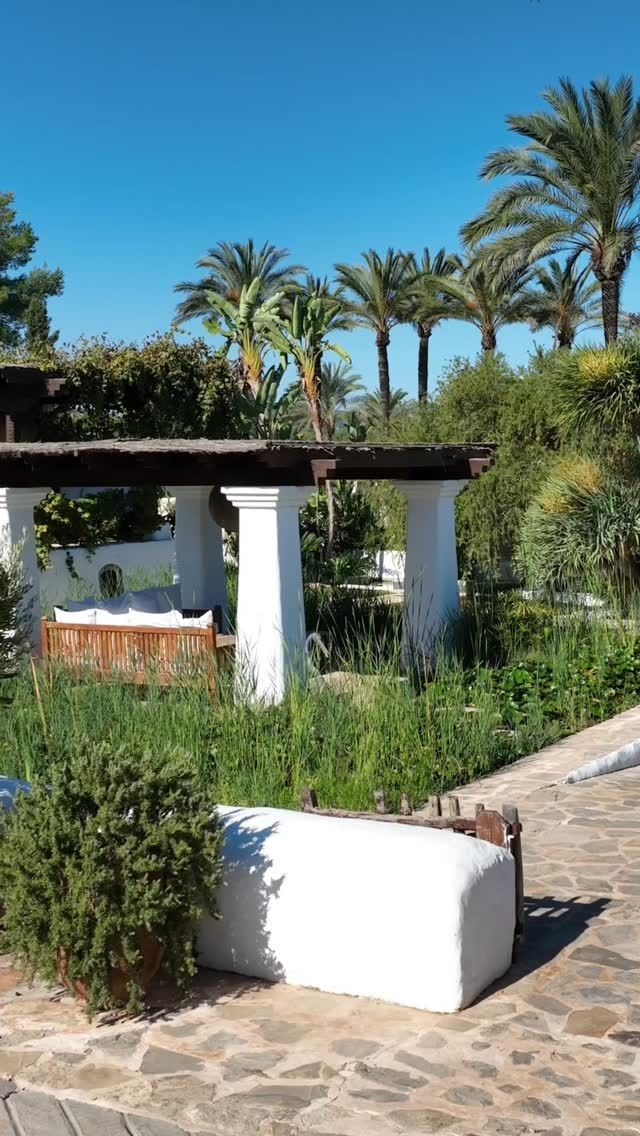 Your stay at Atzaró Agroturismo Hotel offers a soulful retreat, where nourishing Ibiza relaxation, in harmony with nature, permeates through every aspect of the experience

Staying at Atzaró Agroturismo Hotel is an immersion into the natural soul of Ibiza. Nestled in the island’s lush countryside, the estate is surrounded by fragrant orange groves, and landscaped gardens that invite deep relaxation. Walking paths wind through blooming lavender and bougainvillaea, while shaded daybeds rest beneath ancient palm trees. The scent of herbs drifts from the organic garden, where ingredients for the farm-to-fork restaurant are grown. Tranquility fills the air, enhanced by the gentle sounds of birds and rustling leaves, making every moment feel grounded in nature’s calm elegance

Reservations
• +34 971 33 88 38
• bedrooms - agroturismo@atzaro.com
• restaurant - restaurant@atzaro.com
• spa - spa@atzaro.com
• atzaro.com
• explore link in bio

#atzarohotel #atzaroibiza #atzaro #atzarogroup

#heartofibiza #naturalluxury #authenticibiza #ibizafinca #ibizahotel #ibizaresort #ibizaspa #ibizaluxuryhotel #sustainablehotel #ibizabucketlist #ibiza #ibiza2025