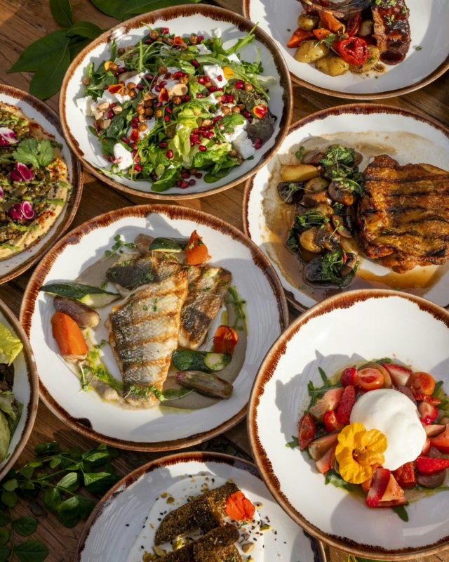 Every meal is nourishing, laden with heirloom varities and care, at Atzaró Agroturismo Hotel

The food is fresh, nourishing, and full of flavour, straight from the garden to your plate. Every dish is crafted with care, celebrating the estate’s organic ingredients, heritage, and soul

Hotel guests and visitors are welcome alike

Restaurant Reservations 
• +34 971 33 88 38
• restaurant@atzaro.com 
• atzaro.com/ibiza-restaurants
• 'book a table' option in bio link

#atzarohotel #atzaroibiza #atzaro #atzarogroup

#nourishing #farmfresh #farmtofork #ibizarestaurants #ibizaresort #ibizaluxuryhotel #ibizabucketlist #ibiza #ibiza2025