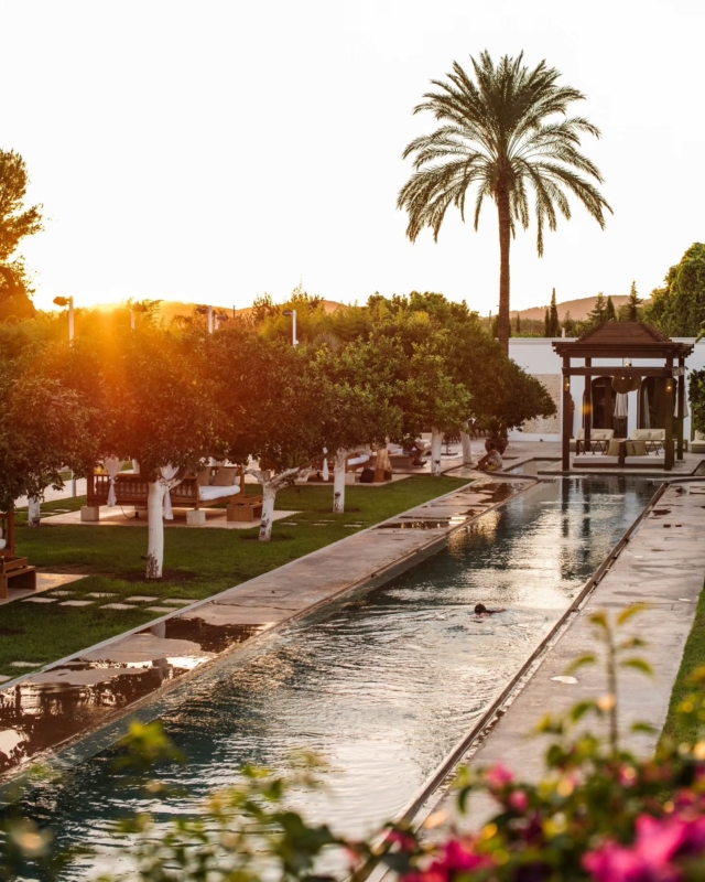 As sun-tinged afternoons turn to gold, the estate awakens with a quietly sophisticated romantic evening flair at Atzaró Agroturismo Hotel

From sultry swims, to sunset-kissed daybed snoozes, every moment is blissful. Sensational warm-toned scenes beckon you to walk the gardens and take in the jasmine-scented views. Terrace dinner and drinks follow among uplight palms and twinkling olives, before your sumptuous finca bedroom calls

 Reservations
• +34 971 33 88 38
• bedrooms - agroturismo@atzaro.com
• restaurant - restaurant@atzaro.com
• spa - spa@atzaro.com
• atzaro.com
• explore link in bio

#atzarohotel #atzaroibiza #atzaro #atzarogroup

#summerevenings #naturalluxury #authenticibiza #ibizafinca #ibizahotel #ibizaresort #ibizaspa #ibizaluxuryhotel #sustainablehotel #ibizabucketlist #ibiza #ibiza2025