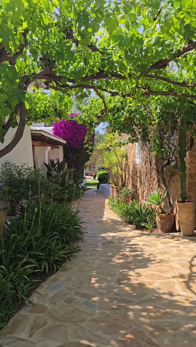 An estate walk is a beautiful way to start the day at Atzaró Agroturismo Hotel

Peaceful pathways lead you to tranquil nature-abundant scenes which provide the ultimate sense of wellness 

At Atzaró Agroturismo Hotel, the natural surroundings invite a deep sense of calm, where gardens, groves, farm, and an estate stay soothe the senses. Connecting with nature here renews the spirit, offering clarity, balance, and a genuine feeling of grounded luxury

Reservations
• +34 971 33 88 38
• bedrooms - agroturismo@atzaro.com
• restaurant - restaurant@atzaro.com
• spa - spa@atzaro.com
• atzaro.com
• explore link in bio

#atzarohotel #atzaroibiza #atzaro #atzarogroup

#nature #natureswellness #naturalluxury #authenticibiza #ibizafinca #ibizahotel #ibizaresort #ibizaspa #ibizaluxuryhotel #sustainablehotel #ibizabucketlist #ibiza #ibiza2025