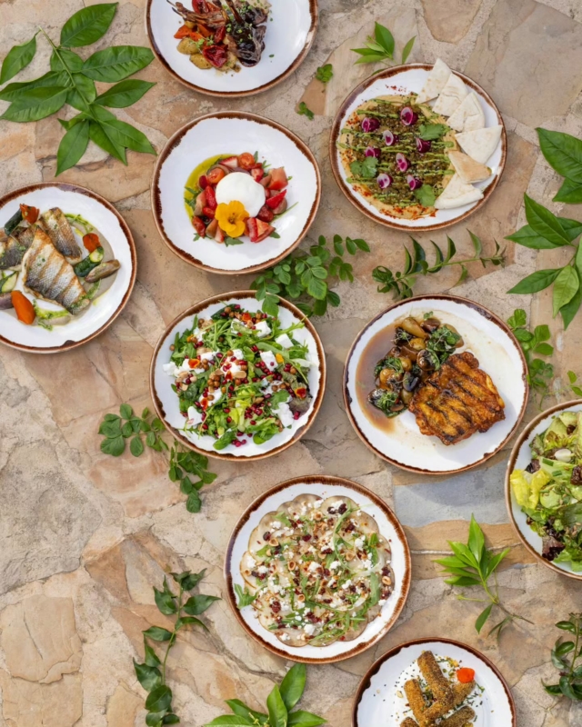There's nothing quite like dining on cuisine with organic ingredients grown just a short walk away, at Atzaró Agroturismo Hotel

The farm-grown food brings the heart of Ibiza to your plate; fresh, seasonal, and bursting with natural flavour. Straight from the garden to the kitchen, every bite is rooted in the estate’s rich abundance

Hotel guests and visitors are welcome alike

Restaurant Reservations 
• +34 971 33 88 38
• restaurant@atzaro.com 
• atzaro.com/ibiza-restaurants
• 'book a table' option in bio link

#atzarohotel #atzaroibiza #atzaro #atzarogroup

#farmfresh #farmtofork #ibizarestaurants #ibizaresort #ibizaluxuryhotel #ibizabucketlist #ibiza #ibiza2025