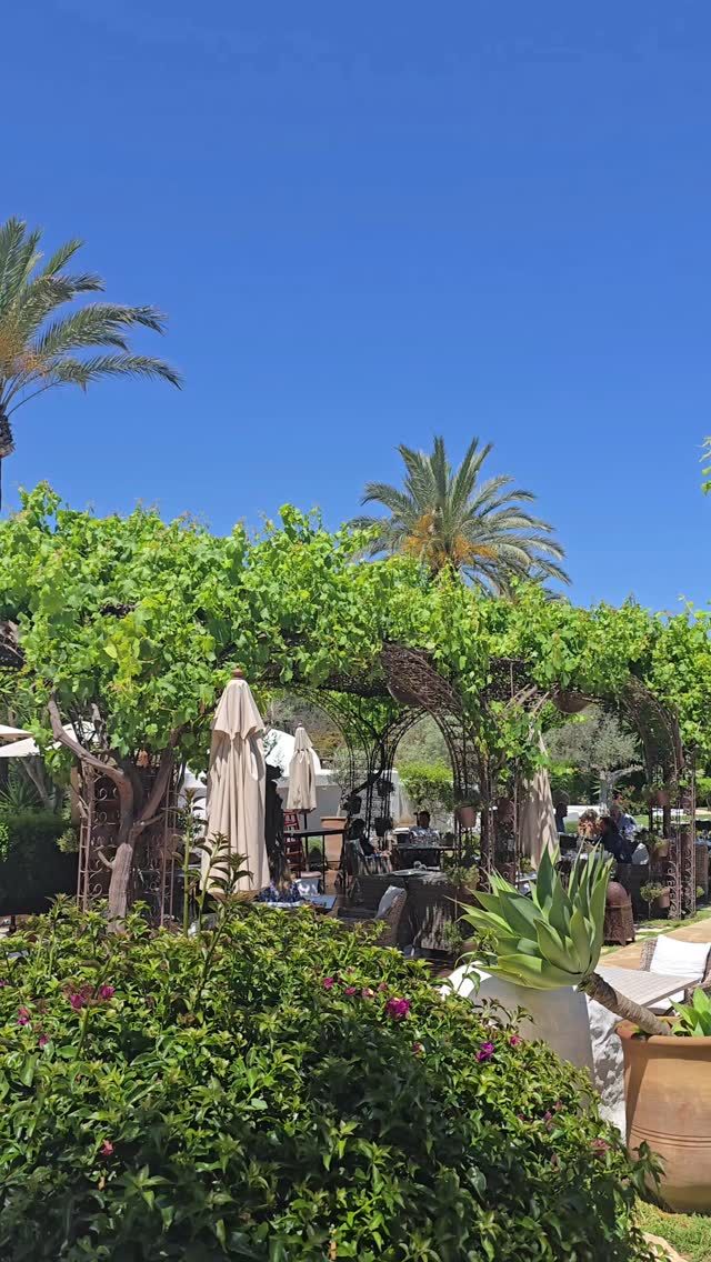 An intimate sunny lunch on the terrace, with organic ingredients picked just steps away, is Ibiza heaven at Atzaró Agroturismo Hotel

Lunch is a sun-dappled, flavour-filled experience set among fragrant gardens and tranquil terraces. With fresh, seasonal produce from the estate’s own organic vegetable garden and farm, every dish celebrates the essence of Atzaró on a plate

Hotel guests and visitors are welcome alike

Restaurant Reservations 
• +34 971 33 88 38
• restaurant@atzaro.com 
• atzaro.com/ibiza-restaurants
• 'book a table' option in bio link

#atzarohotel #atzaroibiza #atzaro #atzarogroup

#farmfresh #farmtofork #ibizarestaurants #ibizaresort #ibizaluxuryhotel #ibizabucketlist #ibiza #ibiza2025