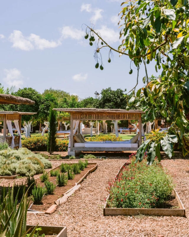 Spa Day Experiences are nature-connected heaven, to fall in love with, at Atzaró Agroturismo Hotel

Enjoy a serene day in the lush spa garden at Atzaró Agroturismo Hotel, where nature, tranquility, and wellness harmonise beautifully. Unwind with holistic treatments, the iconic daybeds by the pool, and the soothing sounds of Ibiza's countryside

Deluxe Spa Day Experience - 210€ pp
Spa, Yoga, Wellness, Massage, Lunch 

Spa Day Experience - 120€ pp
Spa, Yoga, Wellness, Lunch

Purifying Spa Day Experience - 215€ pp
Spa, Yoga, Wellness, Lymphatic Massage, Lunch 

Beauty Spa Day Experience - 220€ pp
Spa, Yoga, Wellness, Facial, Lunch

Spa Day Experience Reservations 
• +34 971 33 88 38
• spa@atzaro.com
• atzaro.com/spa-ibiza/day-experiences 
• 'spa day experiences' option in bio link 

#atzarohotel #atzaroibiza #atzaro #atzarogroup

#atzarodayexperiences #atzarospa #atzarospagarden #wellness #naturalluxury #sustainablehotel #ibiza #ibiza2025