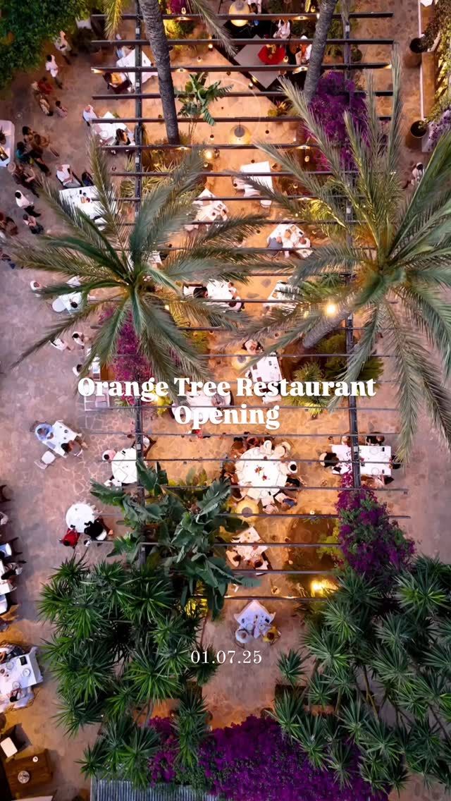 Join us at the heart of Ibiza for the Opening of the summer Orange Tree Restaurant, at Atzaró Agroturismo Hotel

Tuesday 01.07.25 at 20:00

The Orange Tree is the  enchanting summer‑only garden restaurant, open nightly in July and August. Nestled beneath a wooden pergola draped in palm trees, vines, and jasmine, it's beautifully lit for magical al fresco dining experiences under Ibiza's starry skies

The dinner menu showcases Mediterranean dishes crafted from organic ingredients grown in the estate’s vegetable garden, complemented by locally sourced produce

Evenings come alive with flamenco performances and art, while the atmosphere is warm, elegant and romantic, perfect for dreamy summer nights

• on the opening evening, the flamenco performance will feature the talented Querencia

Make your reservation

Restaurant Reservations 
• +34 971 33 88 38
• restaurant@atzaro.com 
• atzaro.com/ibiza-restaurants
• 'book a table' option in bio link

#atzarohotel #atzaroibiza #atzaro #atzarogroup

#ibizadinner #farmfresh #farmtofork #organicdining #mediterraneancuisine #consciouscuisine 
#ibizarestaurants #ibizaresort #ibizaluxuryhotel #ibizabucketlist #ibiza #ibiza2025