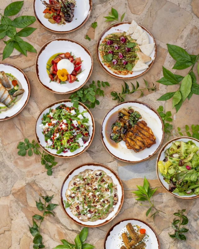 Farm-fresh cuisine is a delight for lunch or dinner at Atzaró Agroturismo Hotel

There is something so nourishing to the soul, enjoying farm-to-fork food full of ingredients grown and picked every day in the estate's vegetable garden

Hotel guests and visitors are welcome alike

Restaurant Reservations 
• +34 971 33 88 38
• restaurant@atzaro.com 
• atzaro.com/ibiza-restaurants
• 'book a table' option in bio link

#atzarohotel #atzaroibiza #atzaro #atzarogroup

#farmfresh #farmtofork #organicdining #mediterraneancuisine #consciouscuisine 
#ibizarestaurants #ibizaresort #ibizaluxuryhotel #ibizabucketlist #ibiza #ibiza2025