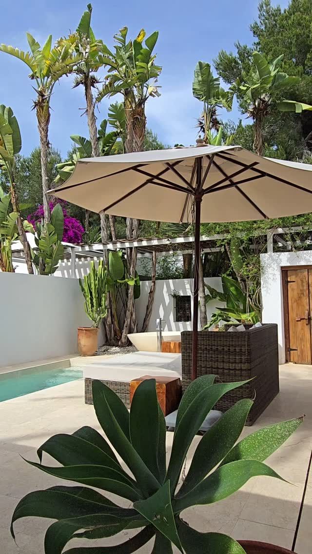Immerse yourself in complete relaxation, with a bedroom stay at Atzaró Agroturismo Hotel

Indulge in the serene beauty of the estate with a peaceful bedroom stay, where understated luxury meets natural harmony. Unwind on your private terrace, take a dip in your secluded pool, and soak in the stillness of the Ibiza countryside, a haven of tranquility, soul-soothing calm, and effortless elegance

Bedroom Reservations 
• +34 971 33 88 38
• agroturismo@atzaro.com 
• atzaro.com 
• 'book a bedroom' option in bio link

#atzarohotel #atzaroibiza #atzaro #atzarogroup

#relaxation #stay #authenticibiza #ibizahotel #ibizaresort #sustainablehotel #luxuryhotel #hotelbedroom #hotelroom #luxurytravel #ibizatravel #travel #ibiza #ibiza2025