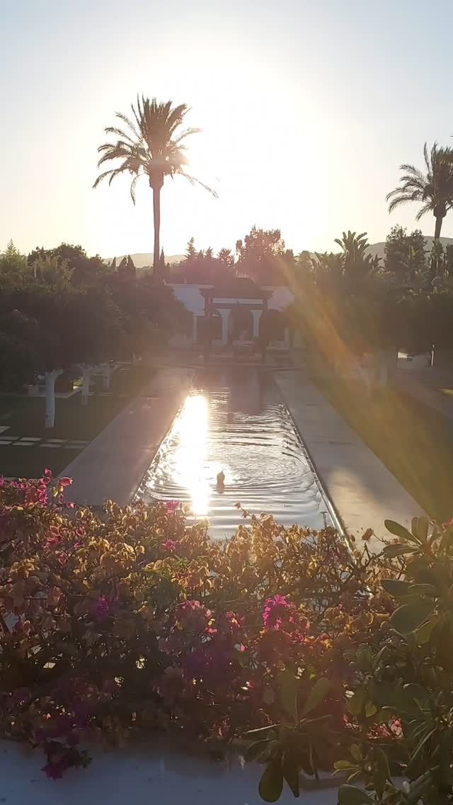 Summer evenings cast a golden glow on the estate at Atzaró Agroturismo Hotel

With the warmer temperatures, sultry swims, estate walks, drinks and dinner shared on floral framed terraces are favourites of the season

Reservations
• +34 971 33 88 38
• bedrooms - agroturismo@atzaro.com
• restaurant - restaurant@atzaro.com
• spa - spa@atzaro.com
• atzaro.com
• explore link in bio

#atzarohotel #atzaroibiza #atzaro #atzarogroup

#summerevenings #naturalluxury #authenticibiza #ibizahotel #ibizaluxuryhotel #ibizaresort #ibizaspa #luxuryhotel #sustainablehotel #wellnesstravel #luxurytravel #ibizabucketlist #ibiza #ibiza2025
