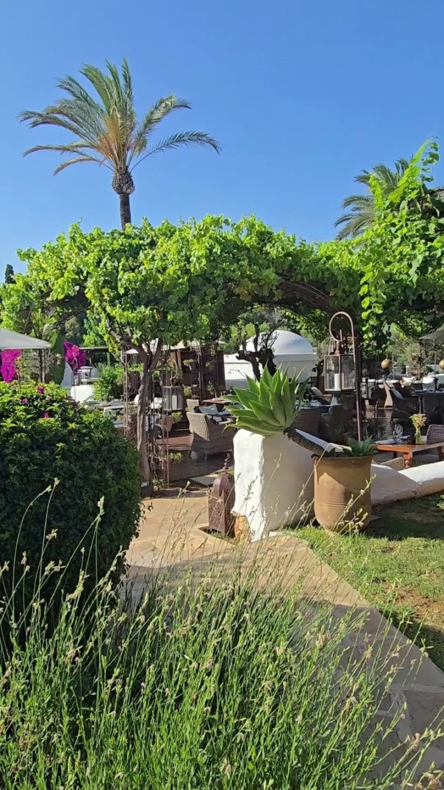 Lunch is deliciously farm fresh at Atzaró Agroturismo Hotel

Dishes prepared with organic ingredients picked daily from the estate vegetable garden are a nourishing delight.Enjoy dining al fresco under vines, soaking up the idyllic countryside ambiance while indulging in fresh Mediterranean flavours

Hotel guests and visitors are welcome alike

Restaurant Reservations 
• +34 971 33 88 38
• restaurant@atzaro.com 
• atzaro.com/ibiza-restaurants
• 'book a table' option in bio link

#atzarohotel #atzaroibiza #atzaro #atzarogroup

#nourishing #farmfresh #farmtofork #organicdining #mediterraneancuisine #consciouscuisine 
#ibizarestaurants #ibizaresort #ibizaluxuryhotel #ibizabucketlist #ibiza #ibiza2025