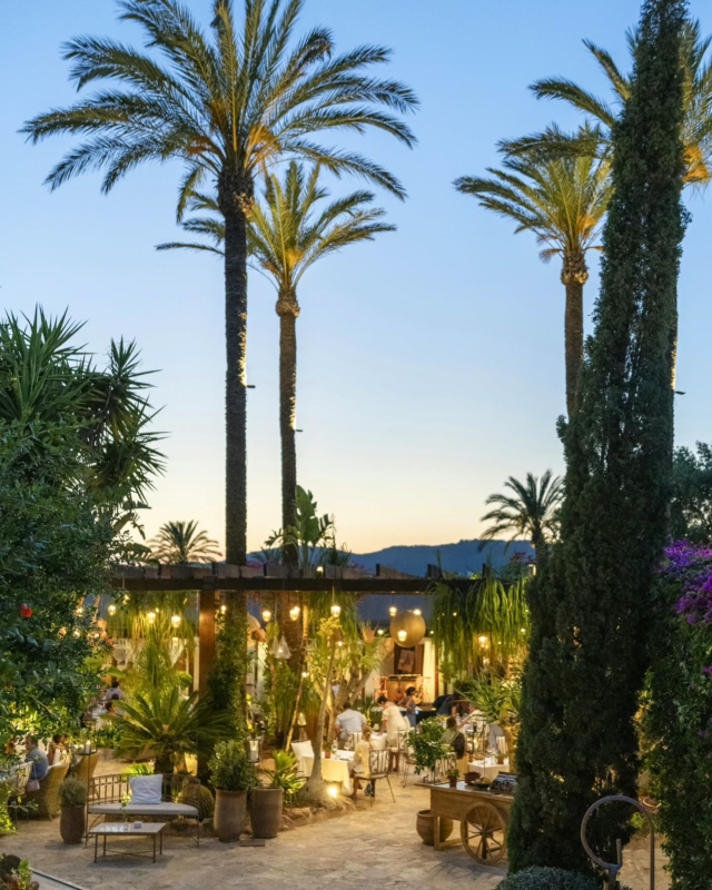 Summer evening dining is magical at Atzaró Agroturismo Hotel

The Orange Tree Summer Restaurant is the hotel's enchanting garden eatery, open every evening in July and August only

Set beneath a wooden pergola and towering palms, it is atmospheric and romantic for al fresco dining under starry skies with friends and dear ones, and authentic Ibiza glamour

Enjoy fresh and sumptuous farm-to-fork cuisine made with organic ingredients straight from the estate vegetable garden

• Wednesdays are Flamenco Night with traditional performances to accompany dinner from 20:00

• Why not enjoy dinner and cinema on Tuesdays and Thursdays, with the perfect combination, dinner followed by the Atzaró Vegetable Garden Cinema, with films starting at 22:00

• Friday Evenings enjoy Pass the Brush, a rotating exhibiton of different artistic talents. Every Friday, at 19:00, the brush is passed on, with a new and unique vernissage to enjoy, with drinks, music, and friends, with artist presentations at 20:30

Restaurant Reservations 
• +34 971 33 88 38
• restaurant@atzaro.com 
• atzaro.com/ibiza-restaurants
• 'book a table' option in bio link

#atzarohotel #atzaroibiza #atzaro #atzarogroup

#ibizadinner #farmfresh #farmtofork #organicdining #mediterraneancuisine #consciouscuisine 
#ibizarestaurants #ibizaresort #ibizaluxuryhotel #ibizabucketlist #ibiza #ibiza2025